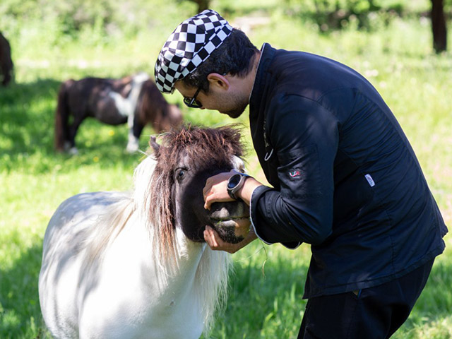 Agriturismo Su Recreu