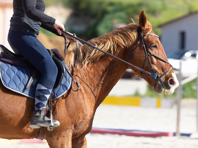 Azienda Agricola Sa Murighessa